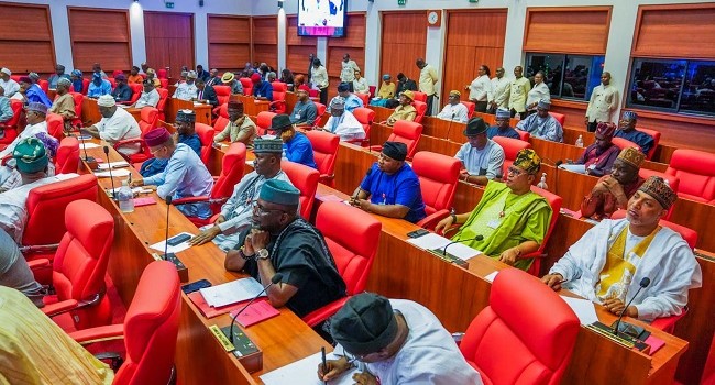 Senate Passes Bill Imposing Life Imprisonment for Child Defilement, Steps Down Abortion Clause After Heated Debate